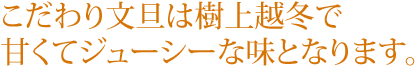 こだわり文旦は樹上越冬で
甘くてジューシーな味となります。