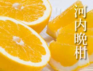 河内晩柑(ジューシーフルーツ)