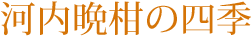 河内晩柑の四季