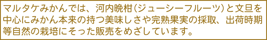 マルタケみかんでは、河内晩柑（ジューシーフルーツ）と文旦を中心にみかん本来の持つ美味しさや完熟果実の採取、出荷時期等自然の栽培にそった販売をめざしています。